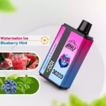 2025 am heißesten ANU 30000 Züge Doppelter Geschmack Wassermeloneneis und Blaubeerminze Einzelhandel, europäisches Lager, Direktlieferung