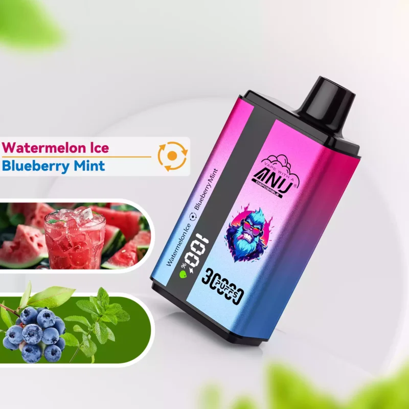 2025 am heißesten ANU 30000 Züge Doppelter Geschmack Wassermeloneneis und Blaubeerminze Einzelhandel, europäisches Lager, Direktlieferung