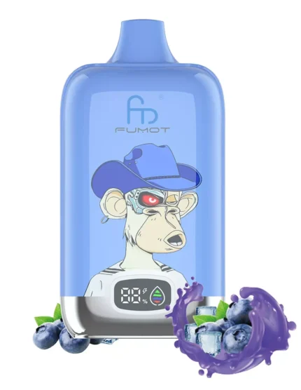 2025 Top Randm Digital Box 12000 Puffs Blaubeere auf Eis Direktlieferung ab europäischem Lager 5-7 Tage bis zur Ankunft