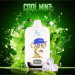 2025 Top Randm Digital Box 12000 Puffs Kühle Minze Direktlieferung ab europäischem Lager 5-7 Tage bis zur Ankunft (2)