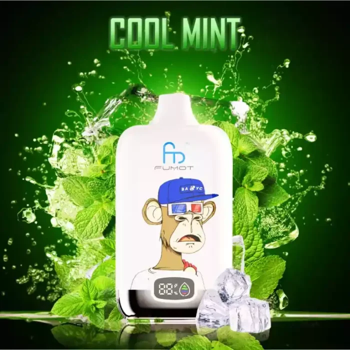 2025 Top Randm Digital Box 12000 Puffs Kühle Minze Direktlieferung ab europäischem Lager 5-7 Tage bis zur Ankunft (2)