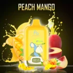 2025 Top Randm Digital Box 12000 Puffs Peach Mango Direktlieferung ab europäischem Lager 5-7 Tage bis zur Ankunft (1)