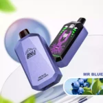 2025 am heißesten ANU Star 30000 Züge Mr blue – 5-7 Tage Lieferzeit, europäisches Lager, Direktlieferung (2)