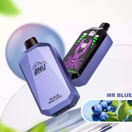 2025 am heißesten ANU Star 30000 Züge Mr blue – 5-7 Tage Lieferzeit, europäisches Lager, Direktlieferung (2)