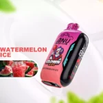 2025 am heißesten ANU Vista 30000 Züge Wassermeloneneis niedriger Nikotingehalt billig europäisches Lager, Direktlieferung (1)