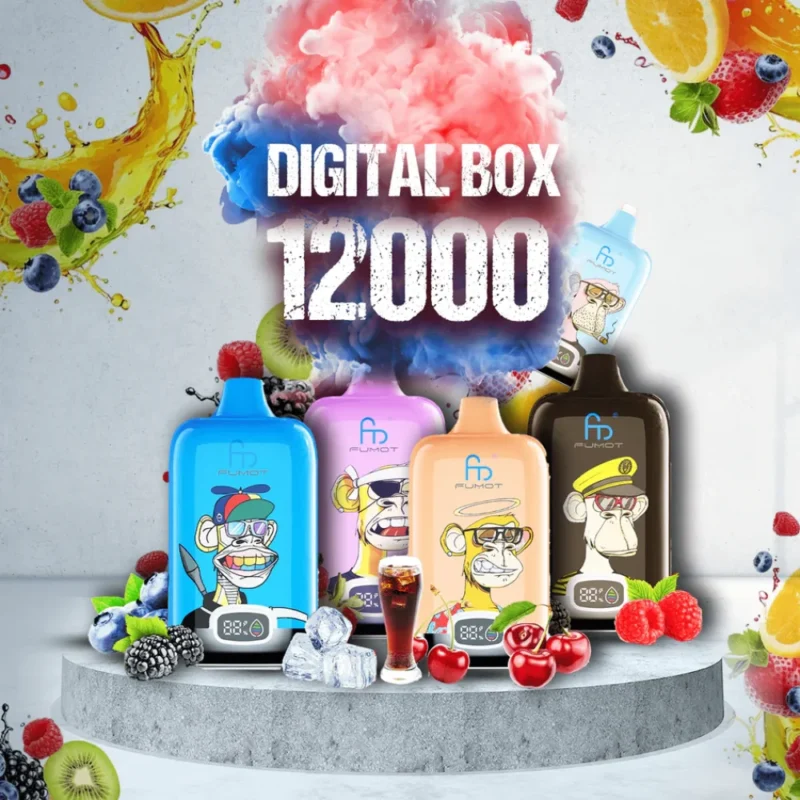RandM Digital Box 12000