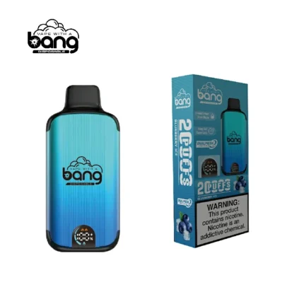 Bang Vape 20K Puffs Blueberry Ice